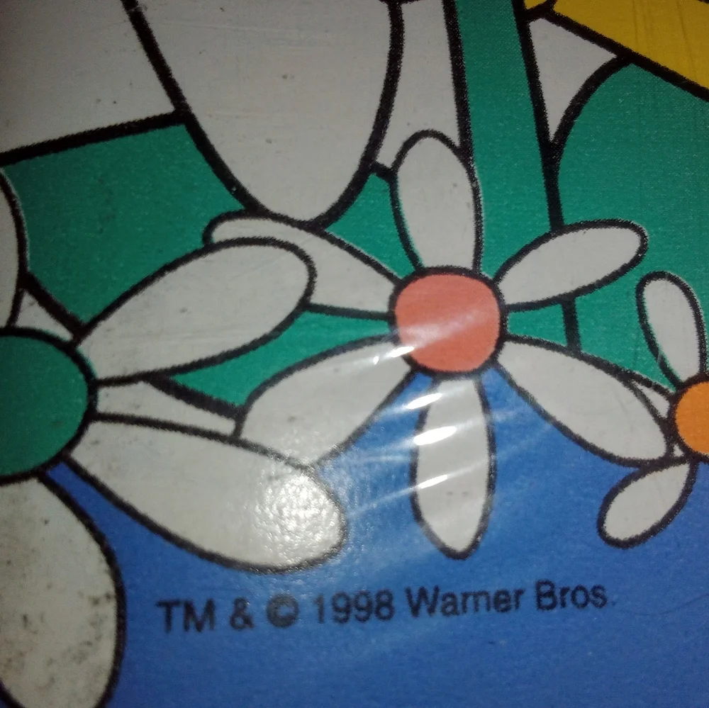 Vintage 1998 Imperial Looney Tunes Tweety Bird Wall Border New Old Stock